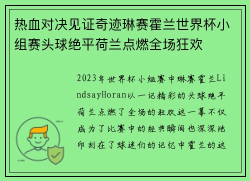 热血对决见证奇迹琳赛霍兰世界杯小组赛头球绝平荷兰点燃全场狂欢